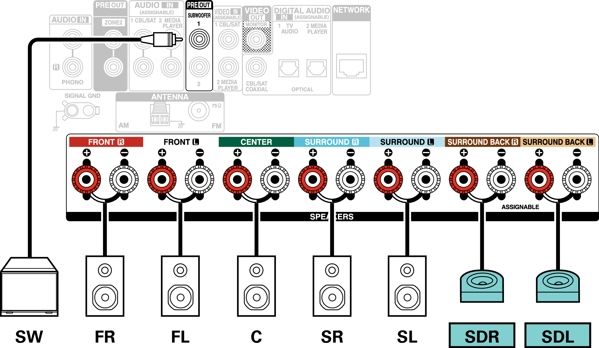 Conne SP 7.1 SD X17E3
